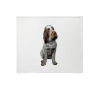 CafePress Italian Spinone (Roan) Throw Blanket Super Soft Fleece Plush Throw Blanket, 60"x50"