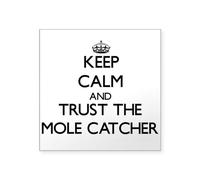 CafePress Keep Calm And Trust The Mole Catcher Sticker Square Bumper Sticker Car Decal
