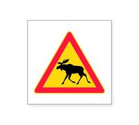 CafePress Moose Crossing Road Sign Rectangle Sticker Square Bumper Sticker Car Decal