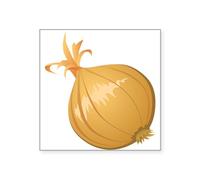 CafePress Onion Sticker Square Bumper Sticker Car Decal