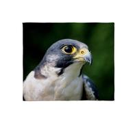 CafePress Peregrine Falcon Throw Blanket Super Soft Fleece Plush Throw Blanket, 60"x50"