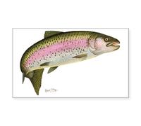 CafePress Rainbow Trout 1 Rectangle Bumper Sticker Car Decal