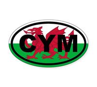 CafePress Wales CYM Flag Sticker Oval Bumper Sticker, Euro Oval Car Decal