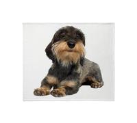 CafePress Wirehaired Dachshund Throw Blanket Super Soft Fleece Plush Throw Blanket, 60"x50"