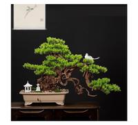 CAFIEDR Artificial Small Bonsai Tree Chinese Style Simulated Welcoming Pine Ornaments Porch Living Room Simulated Plant Bonsai Beauty Pine Fake Plant Landscaping Living(B)