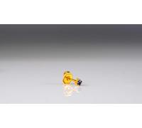 Caflon Blu 24 Carat Gold Plated Clawset September Birthstone Studs