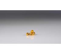 Caflon Blu 24 Carat Gold Plated Star Shape Mini Studs