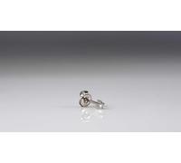 Caflon Blu White Stainless Star Shape Studs