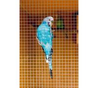 Cage & Aviary Welded Panel 6 x 6mm (0.6 x 0.9m)