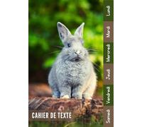 Cahier De Texte: 2026 2027 Lapin Pour Garçon & Fille En Primaire, Collège Et Lycée Pratique Pour Toutes Les Matières