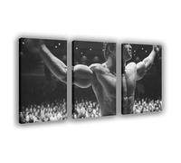 CAIFGQ Arnold Schwarzenegger 1974 Retro Poster Canvas Poster Wall Art Print Picture Paintings 24x36inch(60x90cm)