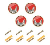 Caihoyu 4 Pack Round Cabinet Knobs 1.26 Inch Vintage Cabinet Knobs for Dresser Drawers A Gray Tabby Cat's Head is Peeking Out from The Bottom of an Illustration