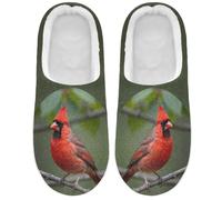 Caihoyu Fuzzy House Shoes Lightweight Red Bird Safaris, Red Bird Safaris, 8