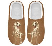 Caihoyu Fuzzy Slippers Memory Foam Dinosaur Bones | Pet Walking Unisex Household Warm Winter