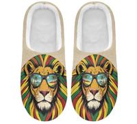 Caihoyu Fuzzy Slippers Warm Insulated Reggae Music, Reggae Music, 8-9
