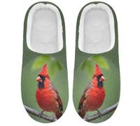 Caihoyu House Slippers Memory Foam Red Bird Safaris Scene, Red Bird Safaris