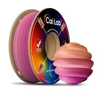 CAILAB 3D Printer Filament PLA Rainbow Gradient - Rainbow #7