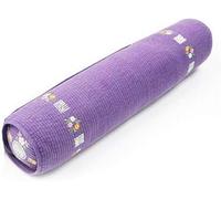 caincosmetic Begozani Korean Buckwheat Cervical Pillow with Cypress Cube, k-pop Idol Jungkook's Pick, Neck Support Pillow for Pain Relief & Comfortable Sleep, L Size, Light Violet