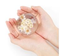 CAIRIAC Crystal Daisy Glass Ball, Real Paperweight Specimen Ball Home Office Decor, Resin Daisy Globe for Anniversary Christmas Birthday Wedding Gift (68mm)