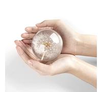 CAIRIAC Real Dandelion Paperweight, Resin Ball Home Office Decor, Real Dandelion Specimen, Gift Package for Anniversary, Christmas, Birthday, Valentines, Wedding