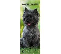 Cairn Terrier 2026 Wall Calendar, 12-Month Slim Format, Made in England