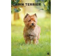 Cairn Terrier - A3 Calendar 2027