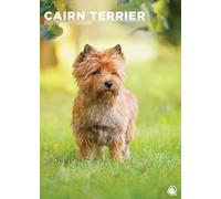 Cairn Terrier Calendar 2025