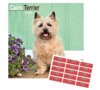 Cairn Terrier Calendar 2026 | 16 months | with FREE Organisational Stickers
