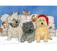 Cairn Terrier Christmas Cards : 10 Holiday Cards with Red Envelopes - ADORABLE!