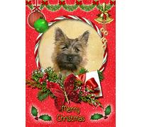 Cairn Terrier Dog Christmas Card Red 'Merry Christmas' - Special Animal Xmas Card for Him Her from Pets Kids