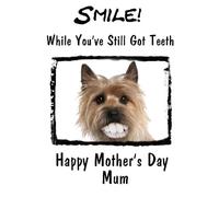 Cairn Terrier Dog Happy Mother's Day card Teeth Humour chmd48 A5 Personalised Greetings