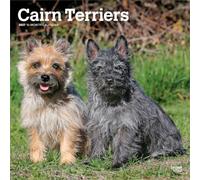 Cairn Terriers 2027 Square Flap: Original BrownTrout-Kalender [Mehrsprachig] [Kalender] (Cairn Terriers | 2027 12 x 24 Inch (Hanging) Monthly Square ... | BrownTrout | Animals Dog Breeds)