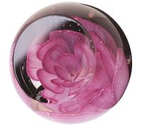 Caithness Glass Charms Pink Rose Paperweight | Pink | 65mm x 65mm | Handcrafted in Scotland | Handmade Glass Paperweight | Grace and elegance captured by a pale pink rose | Ornamental | Gift Boxed