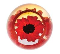 Caithness Glass Charms Red Poppy Paperweight | Single | 65mm x 65mm | Handmade in Scotland | A Vivid red Poppy Takes Centre Stage Inside This Faceted Glass Dome| Ornamental | Boxed | Gift