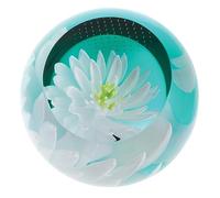 Caithness Glass Paperweight, Multi-Colour, One Size