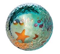Caithness Glass U14070 Seabed Starfish Paperweight