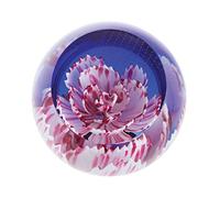 Caithness Glass U19032 Paperweight, Multi-Colour, One Size