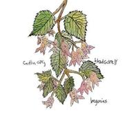 Caitlin Cary and Thad Cockrell - Begonias