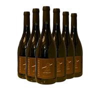 Caizergues ‘Les Traucat’ Red Wine 2020 | 14% ABV | Full-Bodied Terrasses du Larzac with Blackberry & Black Pepper Notes | 6 x 75cl Bottles