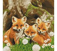 CAK-A116M: "Fox Cubs" 30x30cm Crystal Art Kit