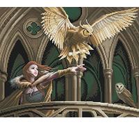 CAK-AST14: "Owl Messenger" 40x50cm Crystal Art Kit ANNE STOKES