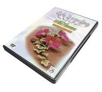 Cake Decorating: Wild Flowers For Intermediates [DVD]