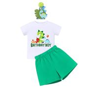 Cake Smash Outfit 1st Birthday Boy Baby Toddler 2nd 3rd Short Sleeve T Shirt+Shorts+Birthday Hat 3PCS Summer Clothes Sets First Dinosaur Party Decorations Gifts Photography Props Green-2 2 Years