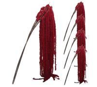 CAKEEYUM 10Pcs Dried Amaranthus Hanging Flowers Real Preserved Amaranthus Hanging Wedding Flowers - 51" Flower Bleached White Dried for Wedding Arch, Wisteria