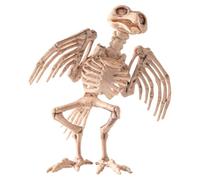 CAKEEYUM Halloween Skeleton 6.3x7.9 Inch Bird Crow Raven Skeleton Animals Realisitc Plastic Horror Props for Haunted House Yard Decorative Prop Halloween Animals Animal Skeletons