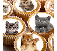 cakes 24 edible cute cats childrens party decorations Iced / Icing Cupcake Topper Edible Fairy Cake Bun Toppers Round