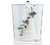 CAKESAFE Reusable Small/Tall Cake Transporter, Clear Plastic Cake Carrier (17" W x 22" H)