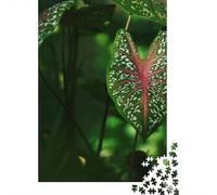 Caladium Leaf Close-Up 1000-Piece Puzzle for Adults, 52x38cm/1000pcs; for An Enjoyable Break at The Table; White Cardboard for Cleaner Sorting