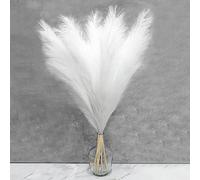 CALAMAANS Tall Pampas Grass,Faux Pampas Grass39.4''/100CM,5 Pcs Artificial Pampass Grass Decor for Vase Fillers, Home,Office,Wedding and Events Decor Boho Decor(White)