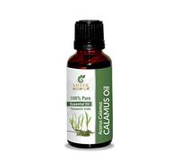 Calamus Root Oil -(Acorus Calamus)- Essential Oil 100% Pure Natural Undiluted Uncut Therapeutic Grade Oil 0.51 Fl.OZ